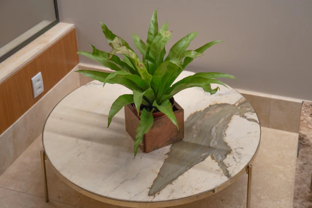 Produto Terracota Essenza Di Marmo
