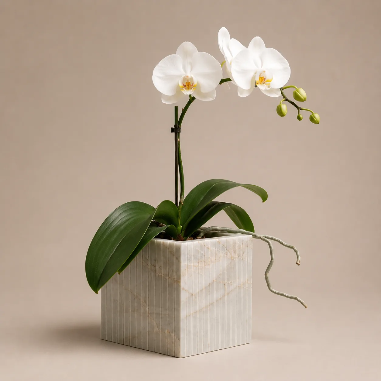 Cachepot Emerald Green Frisado — Marmore Frisado